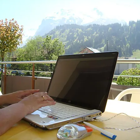 Apartment Blumenweg 2 By Interhome Engelberg